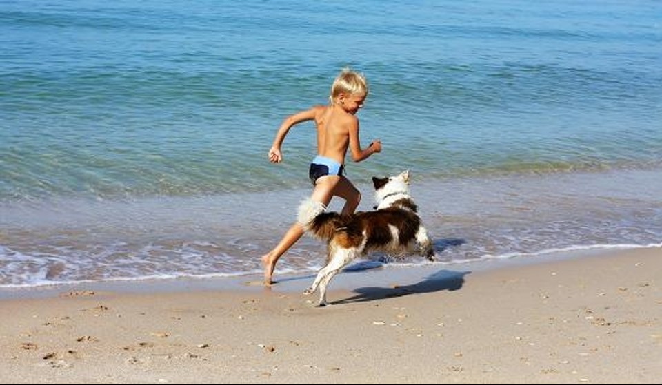 In spiaggia libera con il proprio cane senza il cartello il divieto non è valido